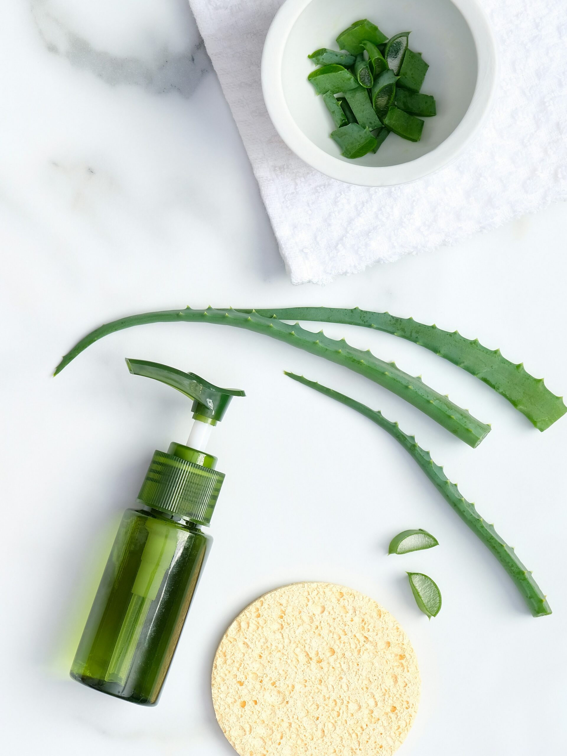 Flat lay of soothing aloe vera skincare product with natural aloe vera and a sponge